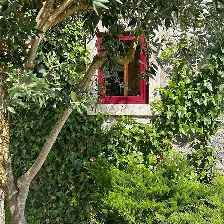 Charming House With Private Pool In * Porto de Mós